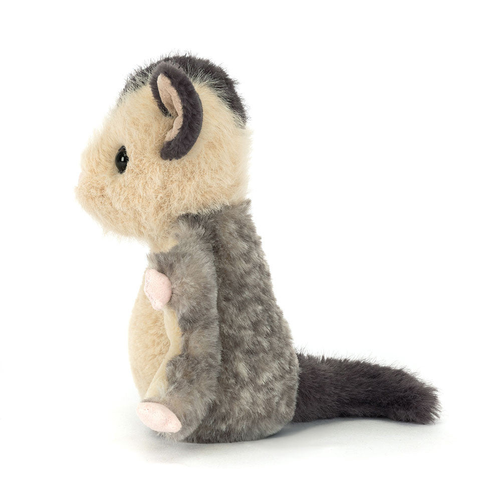 Lolly Sugar Glider Lolly Sugar Glider
