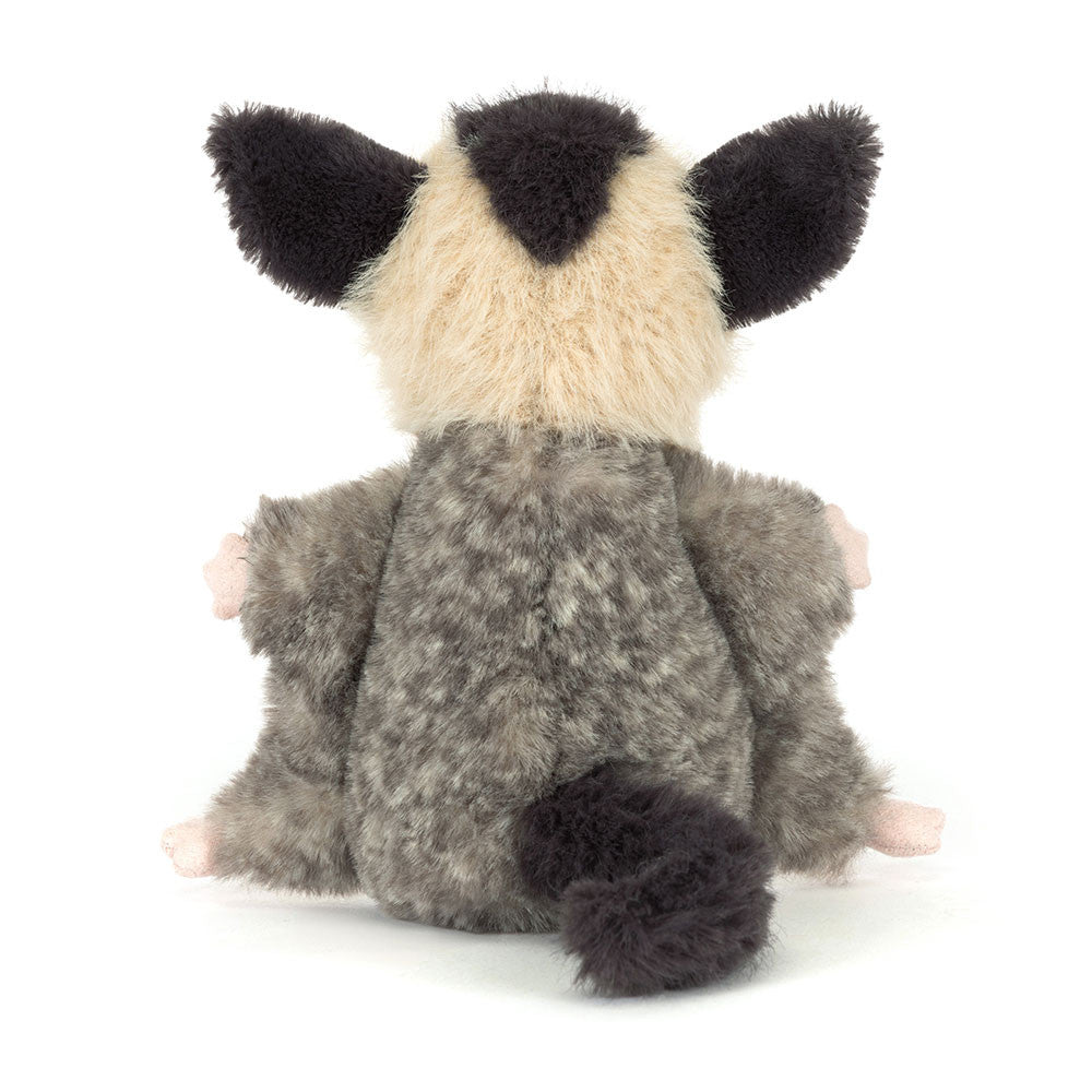 Lolly Sugar Glider Lolly Sugar Glider