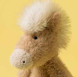 Canterneigh Pony