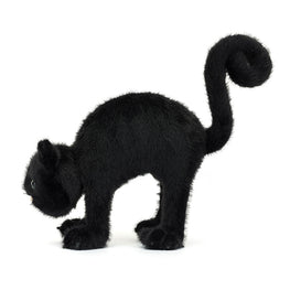Spookipaws Cat