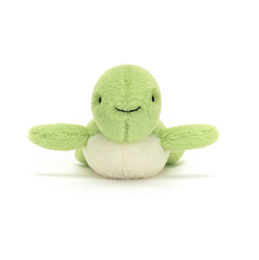 Fluffy Turtle